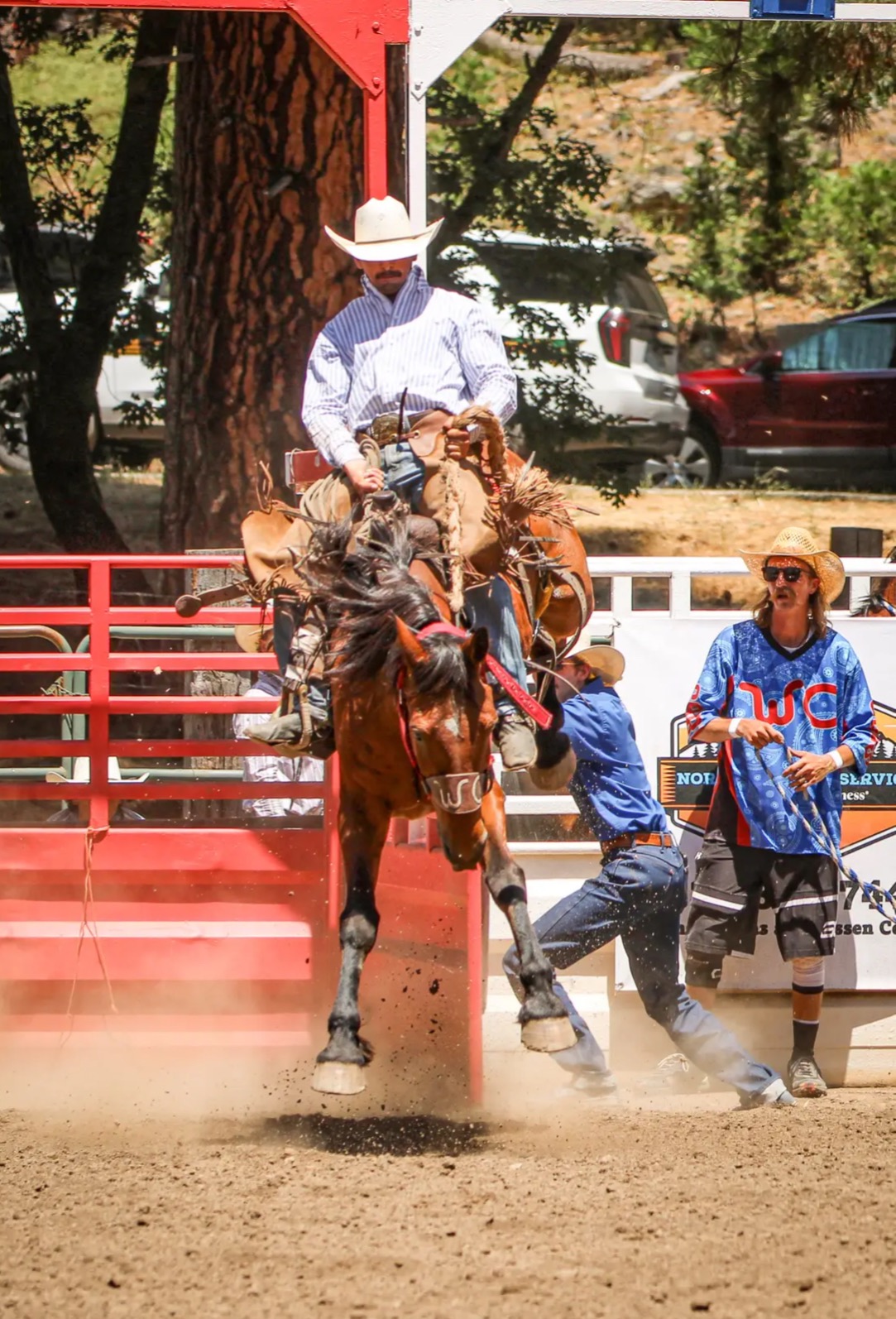 Ranch Bronc Challenge action photo 1