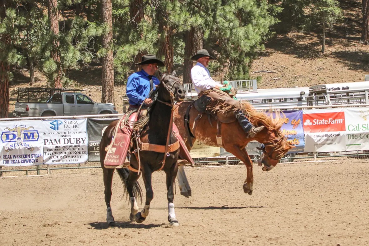 Ranch Bronc Challenge action photo 2